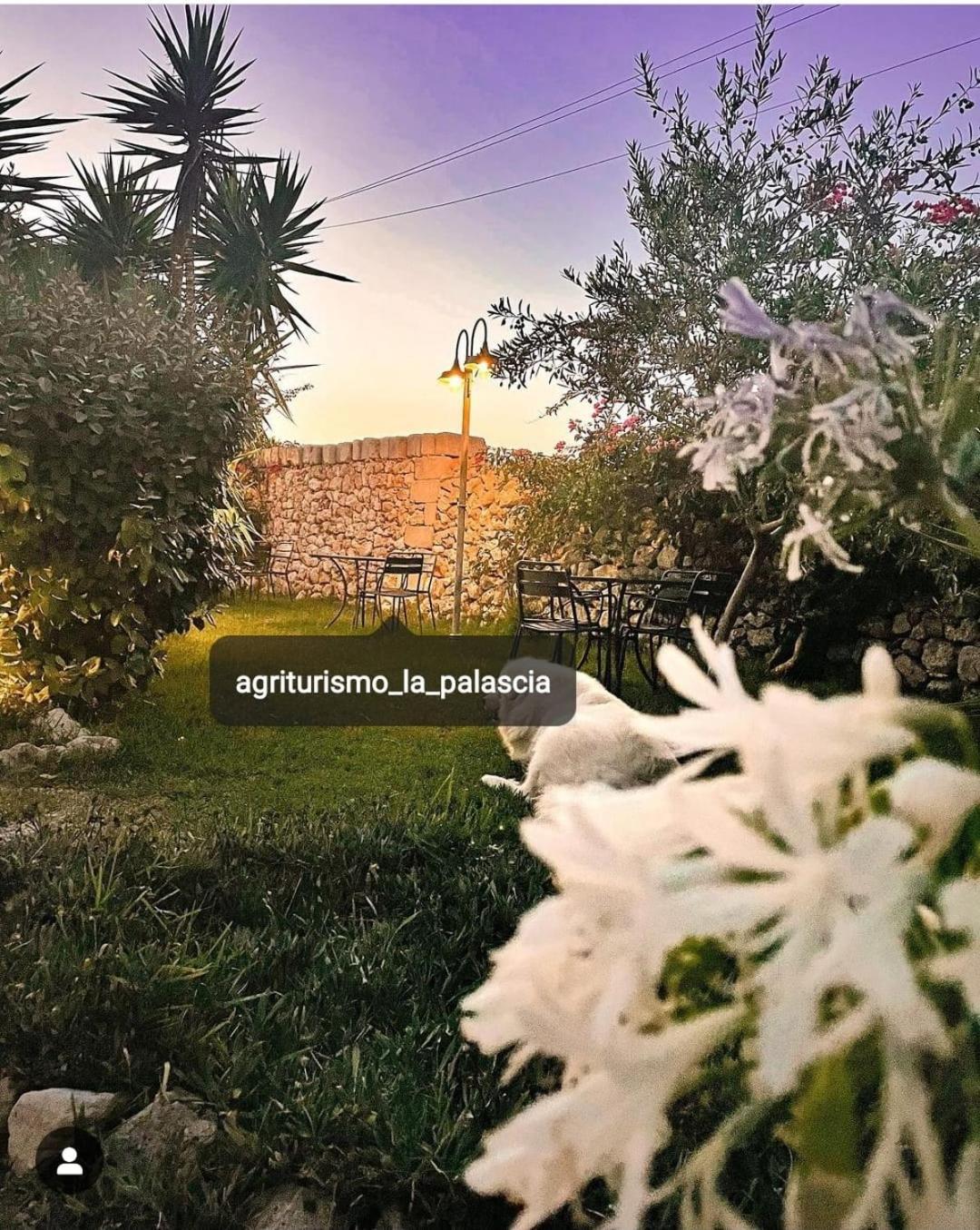 Agriturismo La Palascia Masseria Agreste Отранто Экстерьер фото